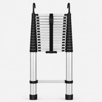 Échelle Télescopique 6,2 m en Aluminium
